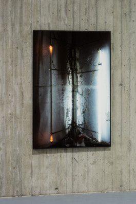 LUCIA SOTNIKOVA