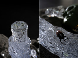 LUCIA SOTNIKOVA